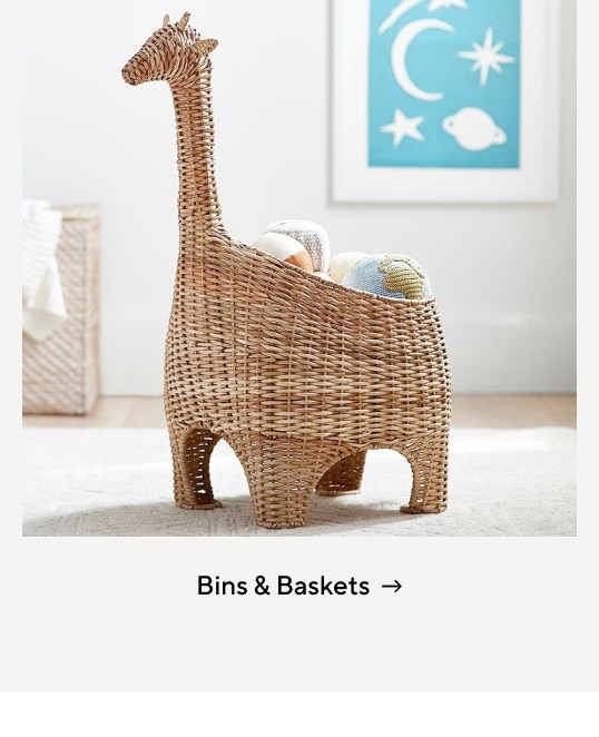 Storage Bins & Baskets